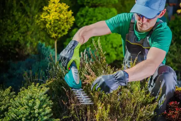landscaping services Mason